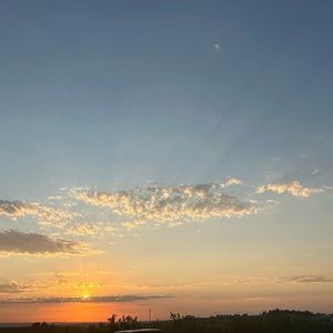 Meet your Posher, Eloise